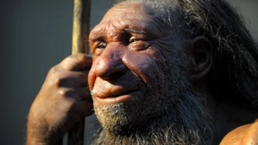 Die Neandertaler haben sich hauptsächlich von Fleisch ernährt