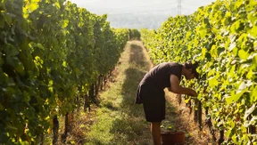 Große Lagen, großer Streit