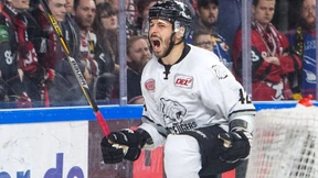 Die Wut der Ice Tigers