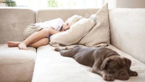 Warum wir uns gegen einen Hund entschieden haben