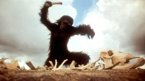 Wir evaluiertes Humankapital