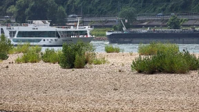 Fahrgastschiffe haben Probleme mit der Trockenheit