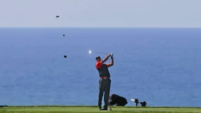 Das Jubiläum des Tigers