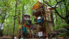 ... in dem ich zum Öko wurde