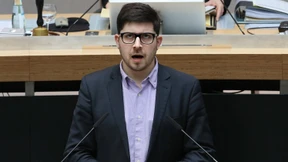 Die Grünen hatten zum Streiten nur das Fax