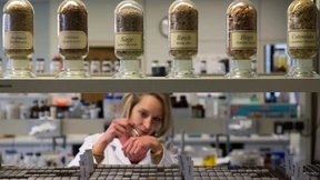 „Richtiges Verhalten braucht nicht immer ein Gesetz“