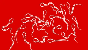 Spermien-Chaos in der Pubertät