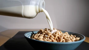 Mampfen wie ein Manager