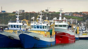 London stellt Paris Ultimatum im Fischereistreit