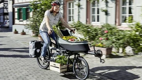 Elektrische Lastesel