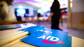 Polizist bei Tumulten auf AfD-Veranstaltung verletzt