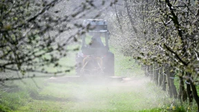 Verlierer und Gewinner von Sonne und Trockenheit in Hessen