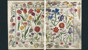 Exquisite Dinge sonder Zahl