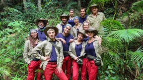 Stierhoden und Adler