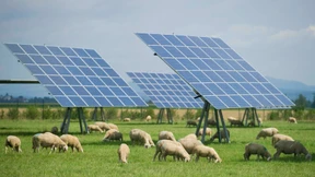 Der Ausbau der Verbindlichkeiten