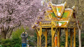 Kühleres Wetter im Norden, mildere Temperaturen im Süden