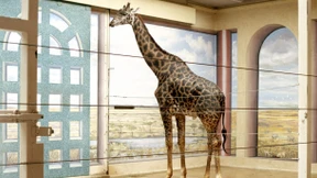 Jenseits der Bilderflut