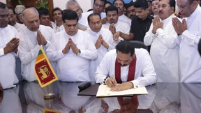 Kein Platz für zwei Tiger