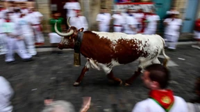 Stierhatz in Pamplona hat begonnen