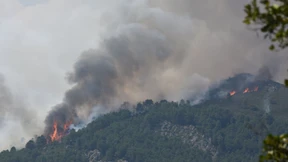 „Entweder geschieht ein Wunder, oder der Nationalpark droht zu verschwinden“