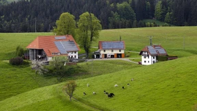 Eine Solardach-Pflicht für alle?