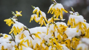 Das Gespür für Kälte