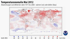 Maikorallen im Nordmeer