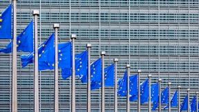 Willkommen in der Elefanten-Welt