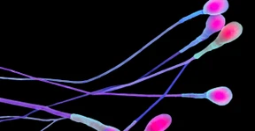 Jetzt muss er mal ran!