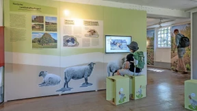 Arten-Raten und alte Sorten