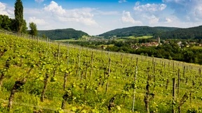 Für jeden Anlass die richtige Wahl