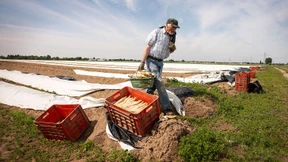 Ein Blick in den Renten-Abgrund