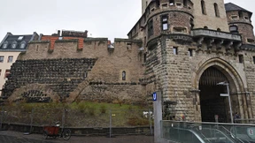 Hobby-Winzer will betrunkene Wildpinkler mit Weinberg bekämpfen