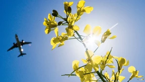 Klimawandel vor Gericht