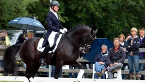 Hoffnung auf Ende der „Rollkur“-Ära