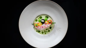 Viele Köche veredeln den Brei