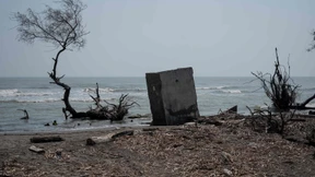 Unsere Freiheit braucht Grenzen, um die Erde noch zu retten