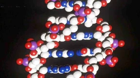 Das Massenscreening unserer Genome wird eingefädelt