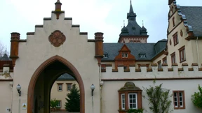 Deindustrialisierung zugunsten der Natur