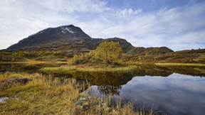 Ein Viertel Europas könnte wieder Wildnis werden