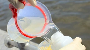 Zustand der Gewässer ist alarmierend