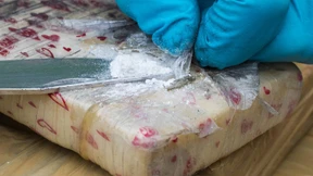 Halbe Tonne Kokain in kolumbianischen Fanbussen entdeckt