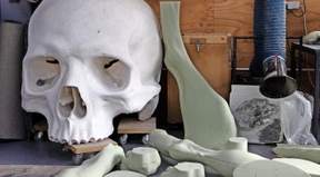 Unter Hunden und Riesenknochen