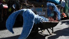 Umweltschützer fordern Ergebnisse