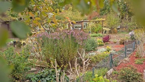 Neues Konzept für Kleingärten in Frankfurt präsentiert