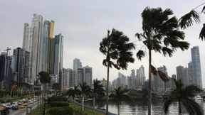 Die Flucht in Steueroasen hat nachgelassen