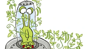 Nicht so dumm wie die Bohne