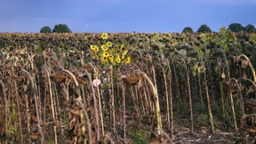 Das Wetter ist nicht politisch