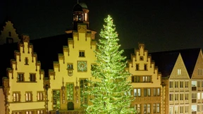 Diese Weihnachtsbäume haben am Römer schon für Empörung gesorgt