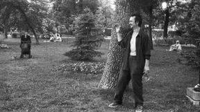 Die Tarnung der Idylle